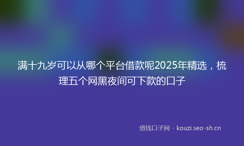 满十九岁可以从哪个平台借款呢2025年精选，梳理五个网黑夜间可下款的口子