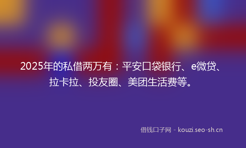 2025年的私借两万有：平安口袋银行、e微贷、拉卡拉、投友圈、美团生活费等。