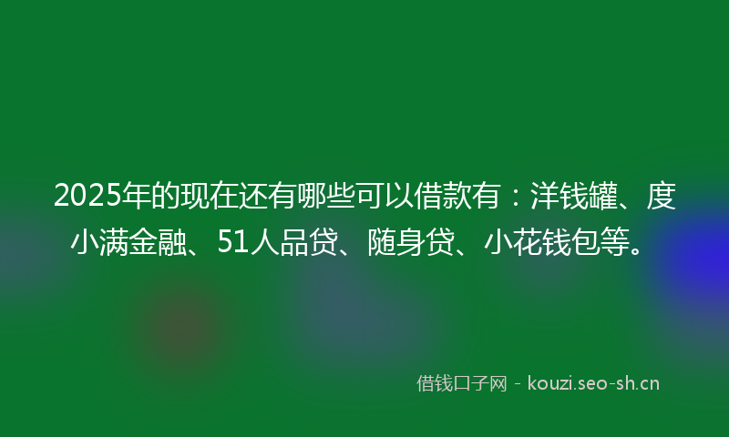 2025年的现在还有哪些可以借款有：洋钱罐、度小满金融、51人品贷、随身贷、小花钱包等。
