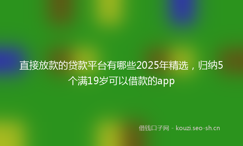 直接放款的贷款平台有哪些2025年精选，归纳5个满19岁可以借款的app