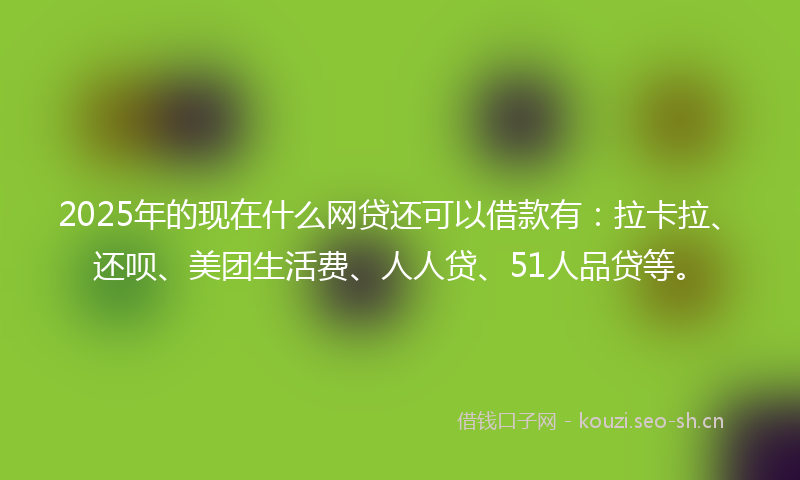 2025年的现在什么网贷还可以借款有：拉卡拉、还呗、美团生活费、人人贷、51人品贷等。
