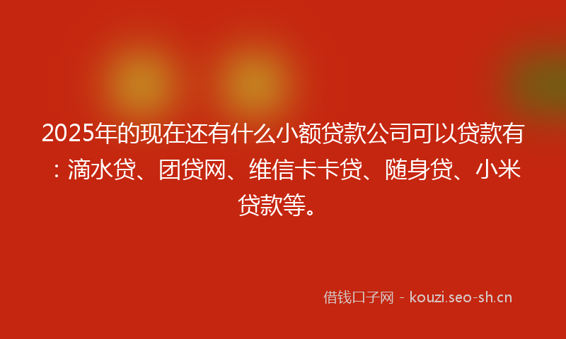 2025年的现在还有什么小额贷款公司可以贷款有：滴水贷、团贷网、维信卡卡贷、随身贷、小米贷款等。