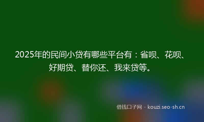 2025年的民间小贷有哪些平台有：省呗、花呗、好期贷、替你还、我来贷等。