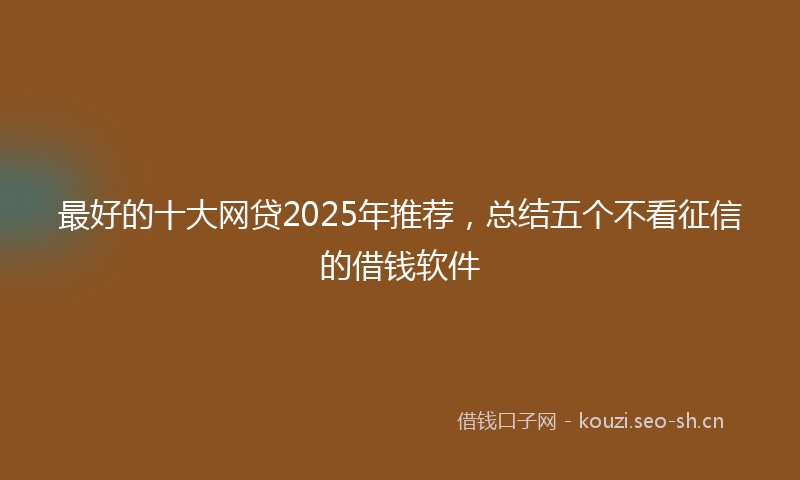 最好的十大网贷2025年推荐，总结五个不看征信的借钱软件