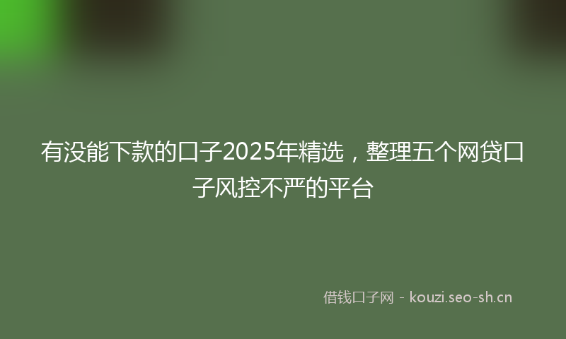 有没能下款的口子2025年精选，整理五个网贷口子风控不严的平台