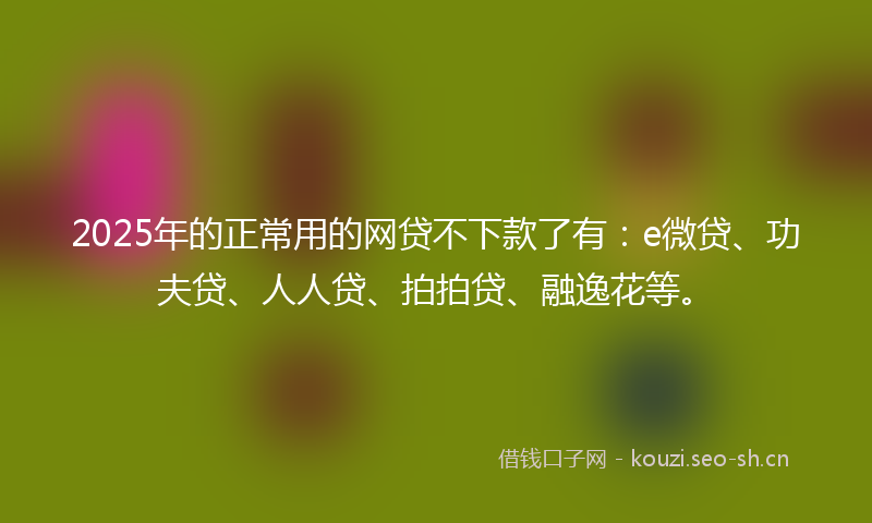 2025年的正常用的网贷不下款了有：e微贷、功夫贷、人人贷、拍拍贷、融逸花等。