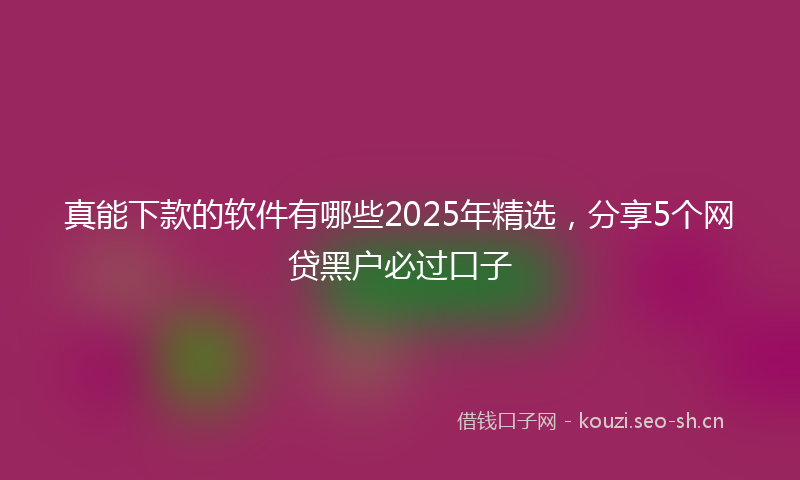 真能下款的软件有哪些2025年精选，分享5个网贷黑户必过口子