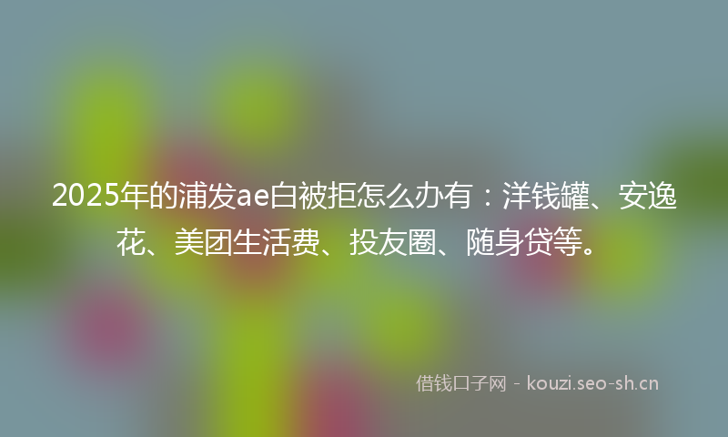 2025年的浦发ae白被拒怎么办有：洋钱罐、安逸花、美团生活费、投友圈、随身贷等。