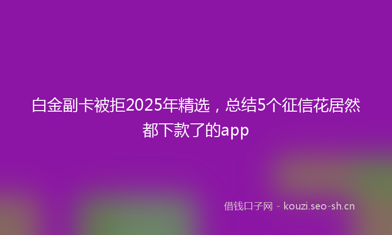 白金副卡被拒2025年精选，总结5个征信花居然都下款了的app