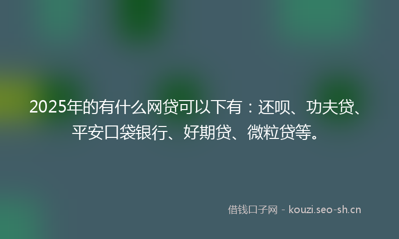 2025年的有什么网贷可以下有：还呗、功夫贷、平安口袋银行、好期贷、微粒贷等。