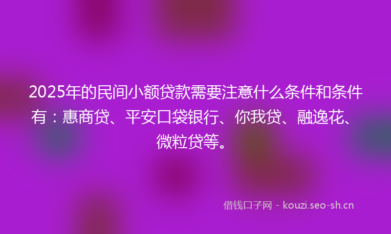 2025年的民间小额贷款需要注意什么条件和条件有：惠商贷、平安口袋银行、你我贷、融逸花、微粒贷等。