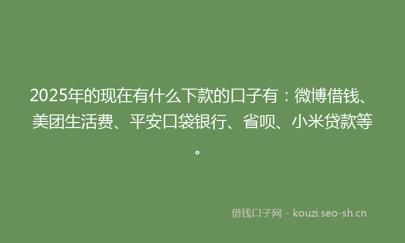 2025年的现在有什么下款的口子有：微博借钱、美团生活费、平安口袋银行、省呗、小米贷款等。