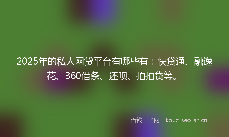 2025年的私人网贷平台有哪些有：快贷通、融逸花、360借条、还呗、拍拍贷等。