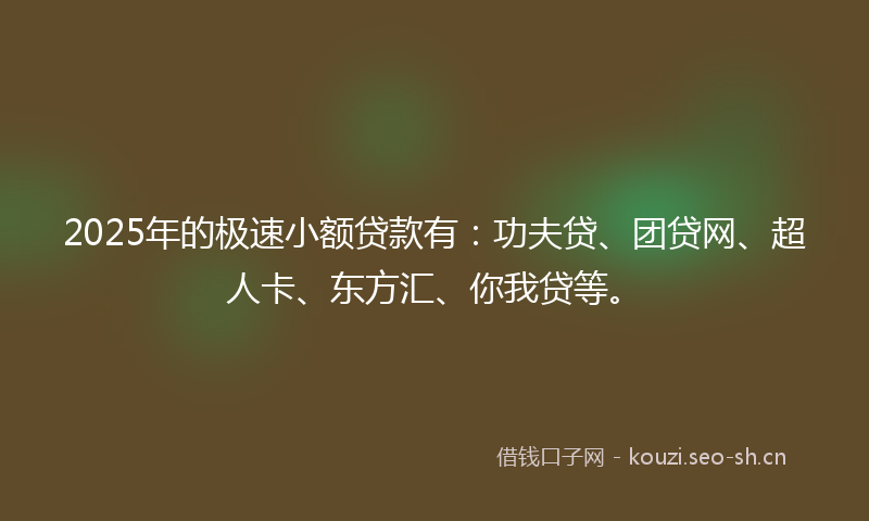 2025年的极速小额贷款有：功夫贷、团贷网、超人卡、东方汇、你我贷等。