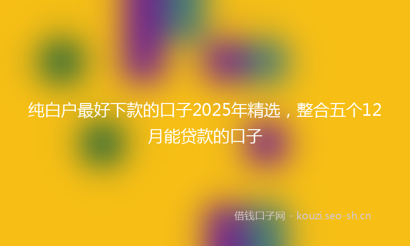 纯白户最好下款的口子2025年精选，整合五个12月能贷款的口子