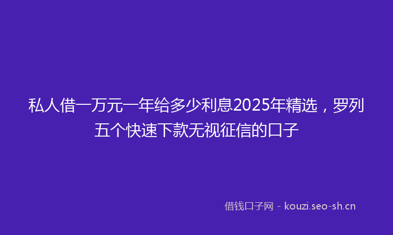 私人借一万元一年给多少利息2025年精选，罗列五个快速下款无视征信的口子