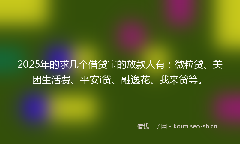 2025年的求几个借贷宝的放款人有：微粒贷、美团生活费、平安i贷、融逸花、我来贷等。