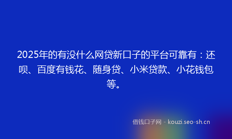 2025年的有没什么网贷新口子的平台可靠有：还呗、百度有钱花、随身贷、小米贷款、小花钱包等。