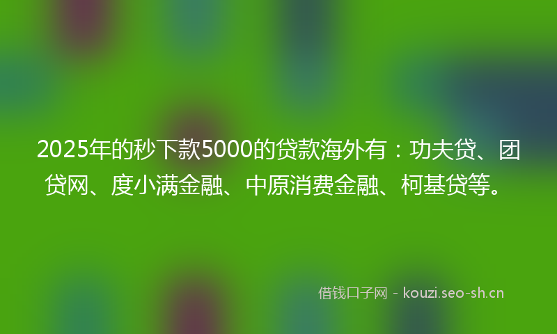 2025年的秒下款5000的贷款海外有：功夫贷、团贷网、度小满金融、中原消费金融、柯基贷等。
