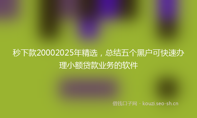 秒下款20002025年精选,总结五个黑户可快速办理小额贷款业务的软件