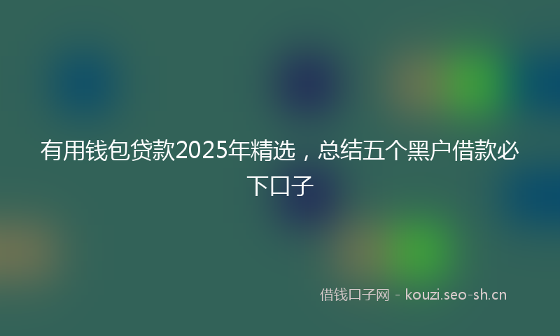 有用钱包贷款2025年精选，总结五个黑户借款必下口子