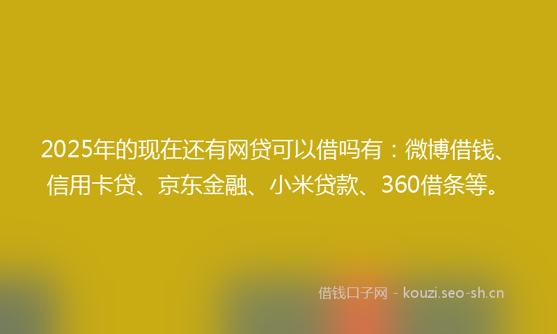 2025年的现在还有网贷可以借吗有：微博借钱、信用卡贷、京东金融、小米贷款、360借条等。