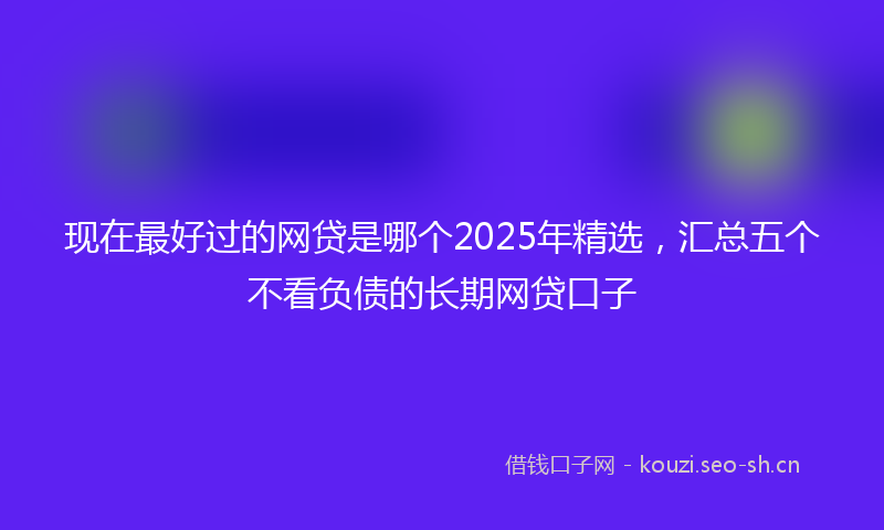 现在最好过的网贷是哪个2025年精选，汇总五个不看负债的长期网贷口子