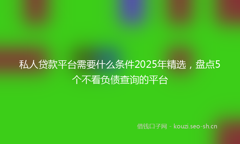 私人贷款平台需要什么条件2025年精选，盘点5个不看负债查询的平台