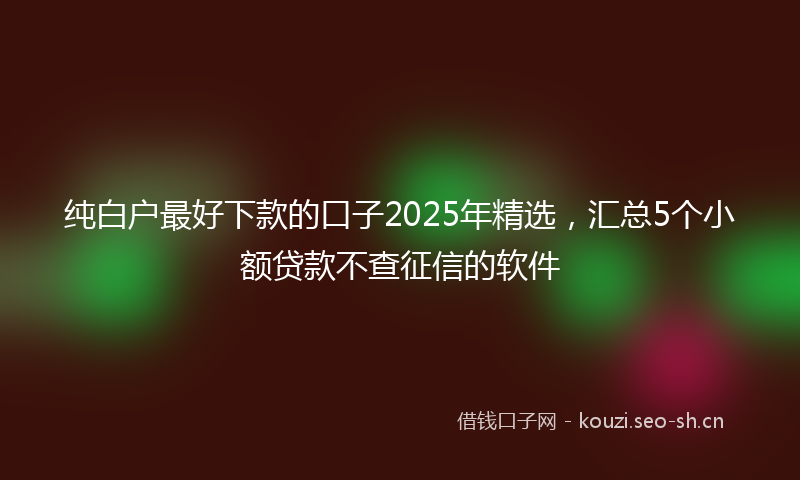 纯白户最好下款的口子2025年精选，汇总5个小额贷款不查征信的软件