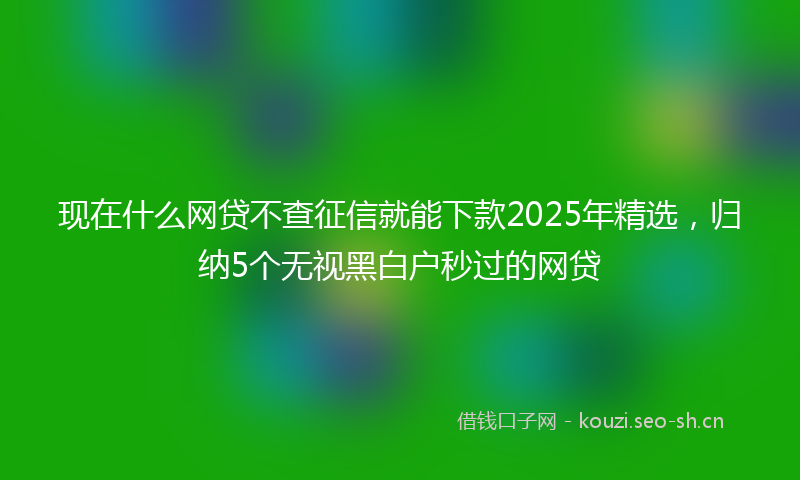现在什么网贷不查征信就能下款2025年精选，归纳5个无视黑白户秒过的网贷