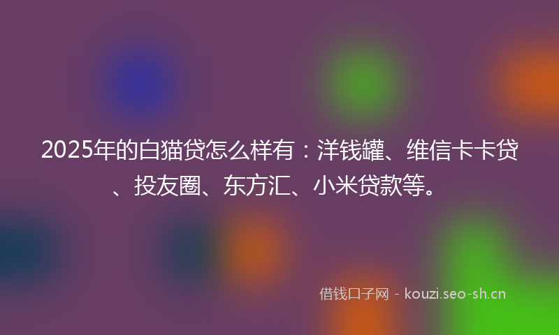 2025年的白猫贷怎么样有：洋钱罐、维信卡卡贷、投友圈、东方汇、小米贷款等。