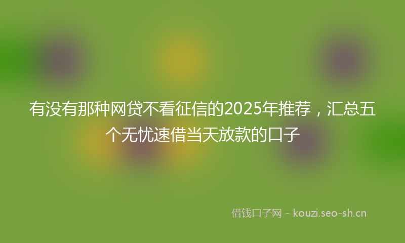 有没有那种网贷不看征信的2025年推荐，汇总五个无忧速借当天放款的口子