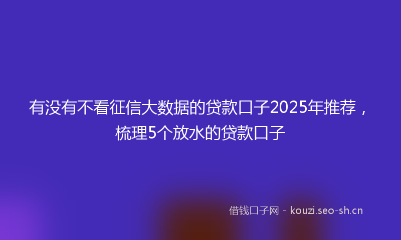有没有不看征信大数据的贷款口子2025年推荐，梳理5个放水的贷款口子