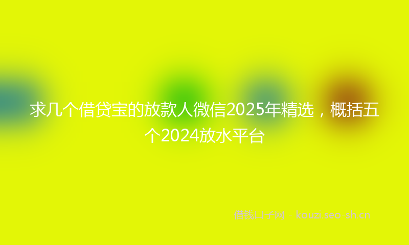 求几个借贷宝的放款人微信2025年精选，概括五个2024放水平台