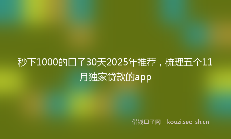 秒下1000的口子30天2025年推荐，梳理五个11月独家贷款的app