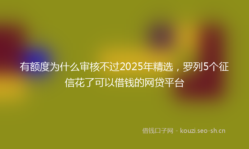 有额度为什么审核不过2025年精选，罗列5个征信花了可以借钱的网贷平台