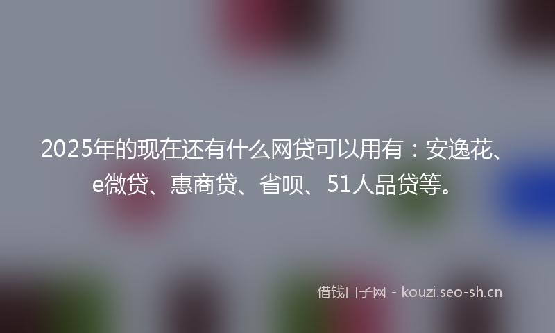 2025年的现在还有什么网贷可以用有：安逸花、e微贷、惠商贷、省呗、51人品贷等。