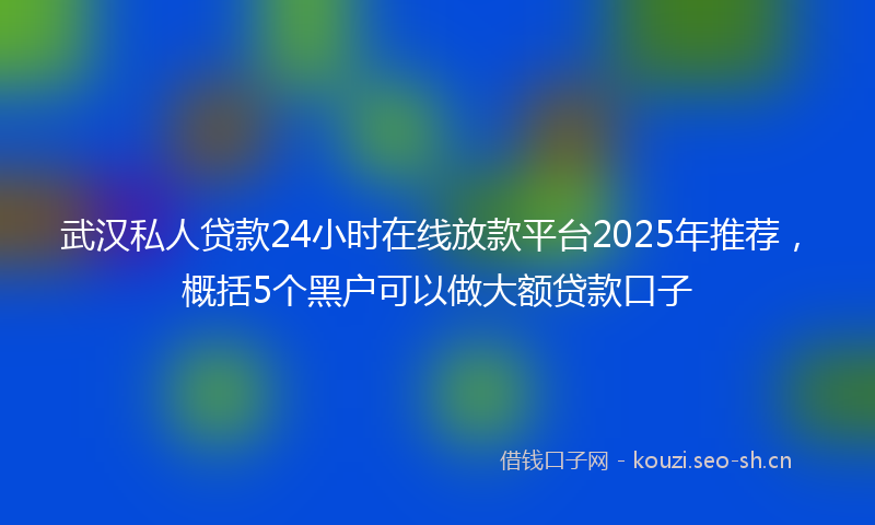 武汉私人贷款24小时在线放款平台2025年推荐，概括5个黑户可以做大额贷款口子
