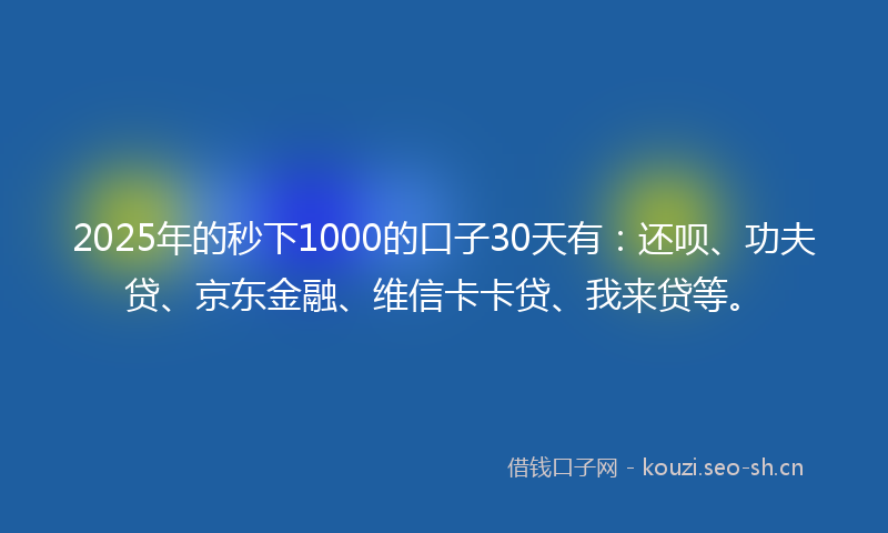 2025年的秒下1000的口子30天有：还呗、功夫贷、京东金融、维信卡卡贷、我来贷等。