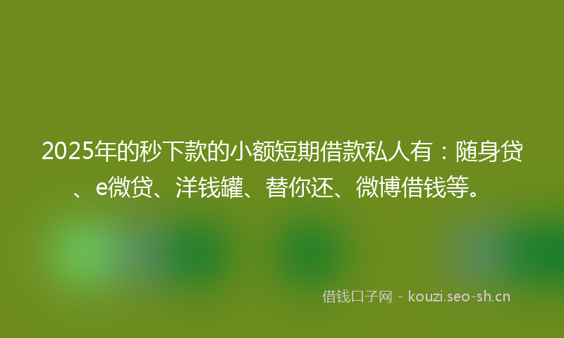 2025年的秒下款的小额短期借款私人有：随身贷、e微贷、洋钱罐、替你还、微博借钱等。
