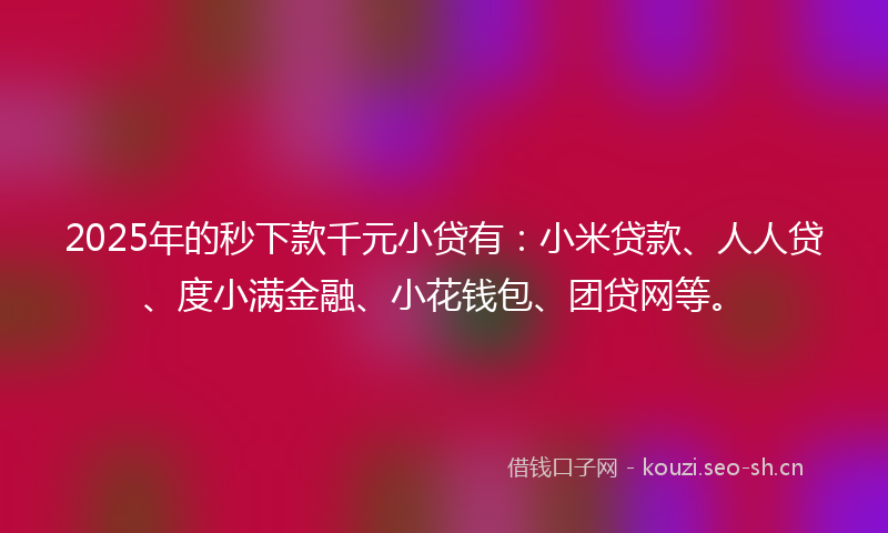 2025年的秒下款千元小贷有：小米贷款、人人贷、度小满金融、小花钱包、团贷网等。