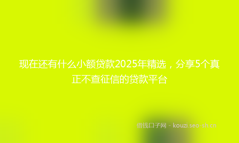 现在还有什么小额贷款2025年精选，分享5个真正不查征信的贷款平台