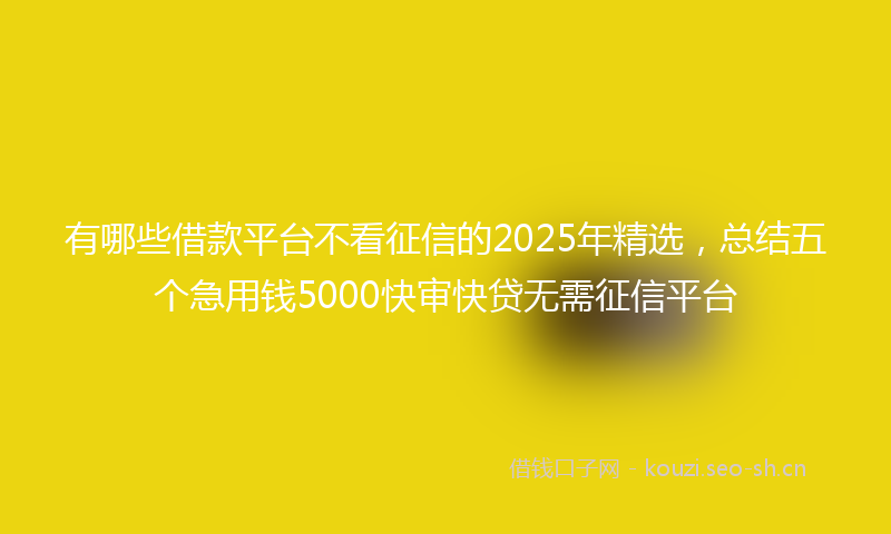 有哪些借款平台不看征信的2025年精选，总结五个急用钱5000快审快贷无需征信平台