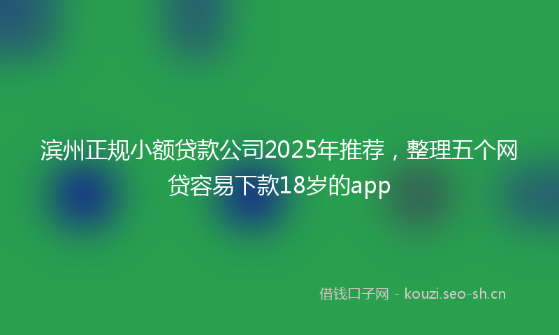 滨州正规小额贷款公司2025年推荐，整理五个网贷容易下款18岁的app