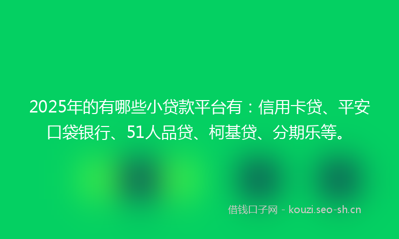 2025年的有哪些小贷款平台有：信用卡贷、平安口袋银行、51人品贷、柯基贷、分期乐等。