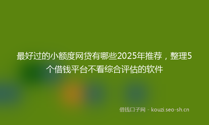 最好过的小额度网贷有哪些2025年推荐，整理5个借钱平台不看综合评估的软件