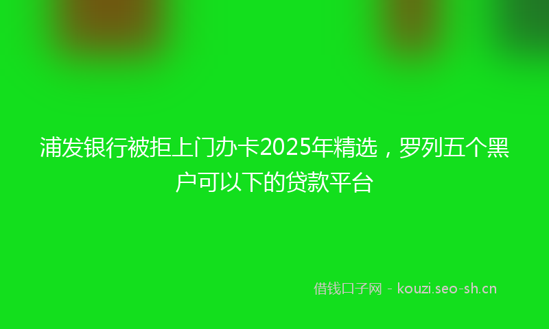浦发银行被拒上门办卡2025年精选，罗列五个黑户可以下的贷款平台