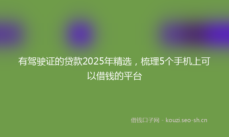 有驾驶证的贷款2025年精选，梳理5个手机上可以借钱的平台