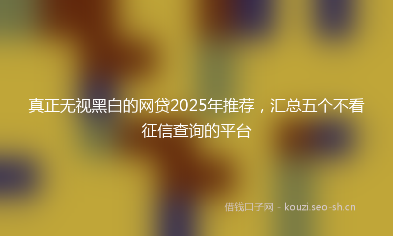 真正无视黑白的网贷2025年推荐，汇总五个不看征信查询的平台