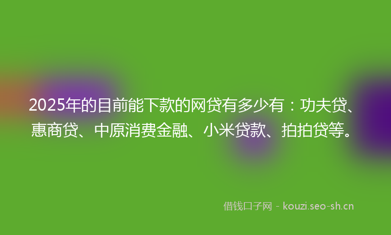 2025年的目前能下款的网贷有多少有：功夫贷、惠商贷、中原消费金融、小米贷款、拍拍贷等。